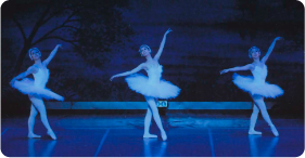 2010年/Dance Perfimance 14h 白鳥の湖